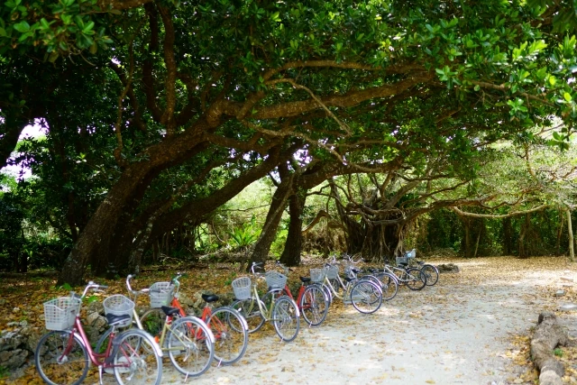 竹富島のレンタサイクル