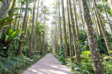 東南植物楽園