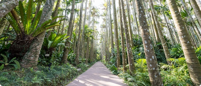 東南植物楽園