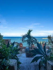 THE CALIF KITCHEN 沖縄店