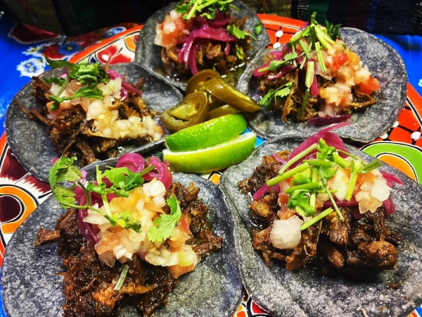 DRUNK TACOS