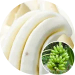 フォンタナジェラート島バナナミルク