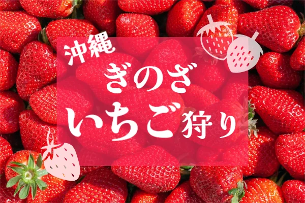 沖縄宜野座いちご狩り