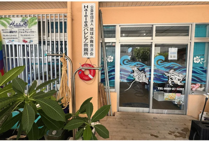 ハレレアレンタカー