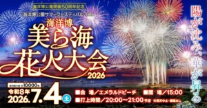 海洋博美ら海花火大会