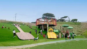 コザ運動公園アスレチック広場