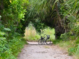 久高島でサイクリング