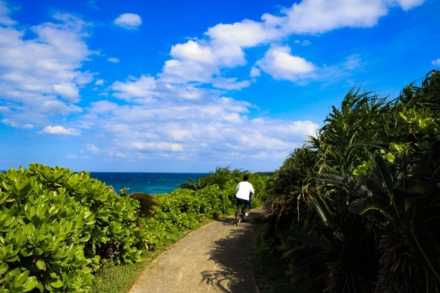 ロマンスロード