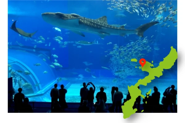 本部町美ら海水族館