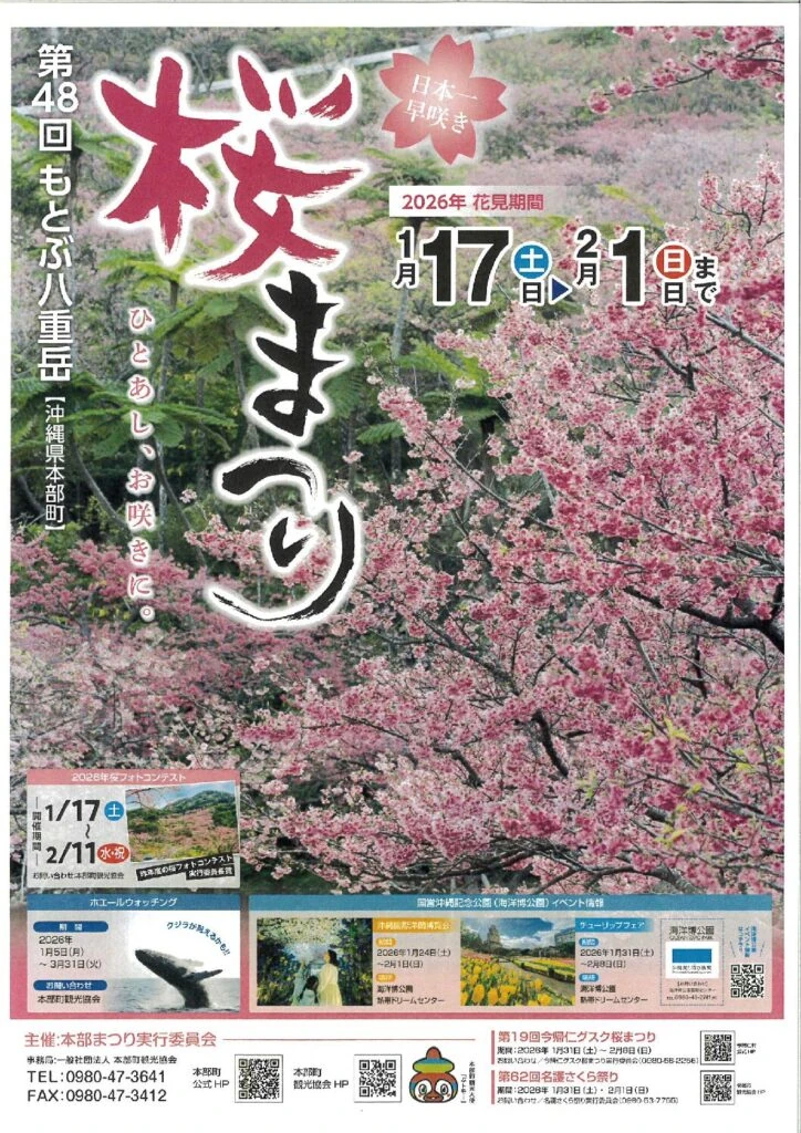 沖縄の桜まつり【2026年の日程・開花時期まとめ】 | ちゅらマニア