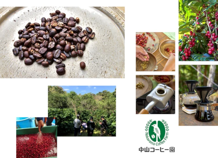 中山コーヒー園