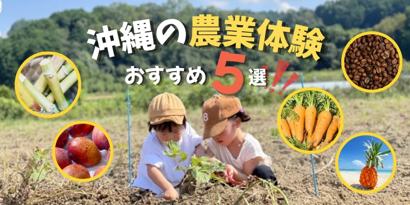 沖縄の農業体験おすすめプラン