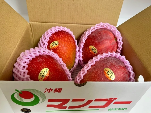 沖縄県産マンゴー 贈答用