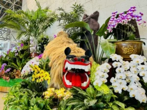 那覇空港の獅子舞