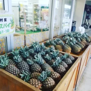 サンライズひがしのパイン