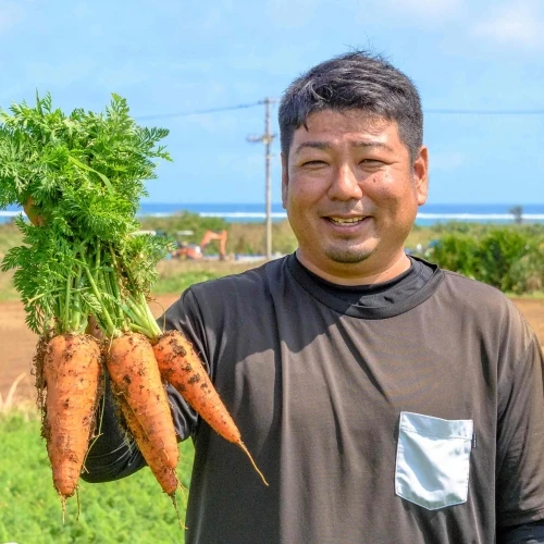 津堅島にんじん収穫体験
