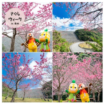 つつじエコパーク