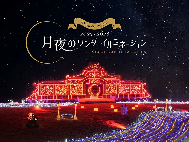 月夜のワンダーイルミネーション 2025-2026