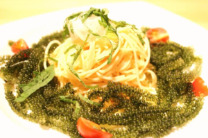 うまりずまの海ぶどうの冷製パスタ