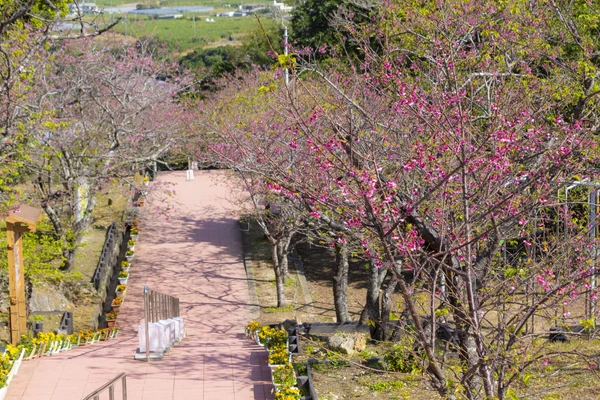 やえせ桜まつり