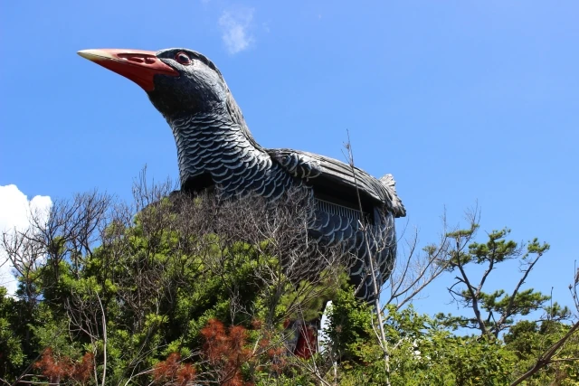 ヤンバルクイナ展望台