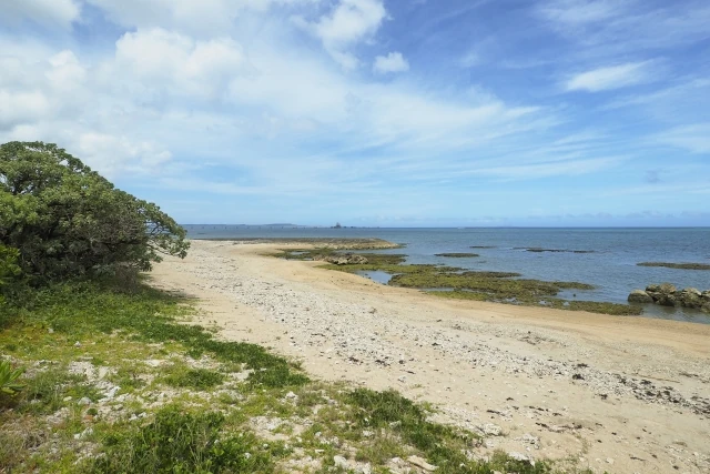吉の浦公園ビーチ