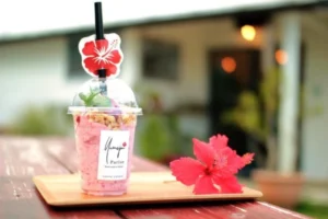 ゆめじんのハイビスカススムージー